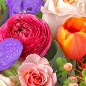 Meet your Posher, Cindy lou